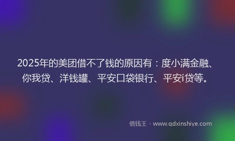 2025年的美团借不了钱的原因有：度小满金融、你我贷、洋钱罐、平安口袋银行、平安i贷等。