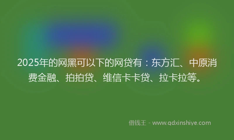 2025年的网黑可以下的网贷有：东方汇、中原消费金融、拍拍贷、维信卡卡贷、拉卡拉等。