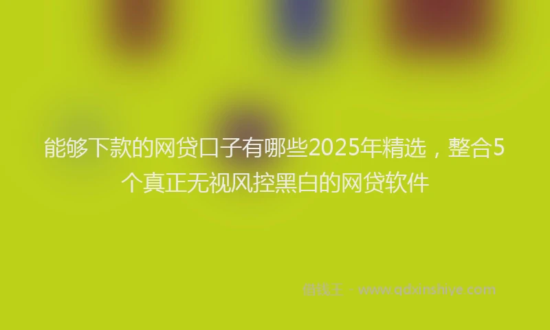 能够下款的网贷口子有哪些2025年精选，整合5个真正无视风控黑白的网贷软件