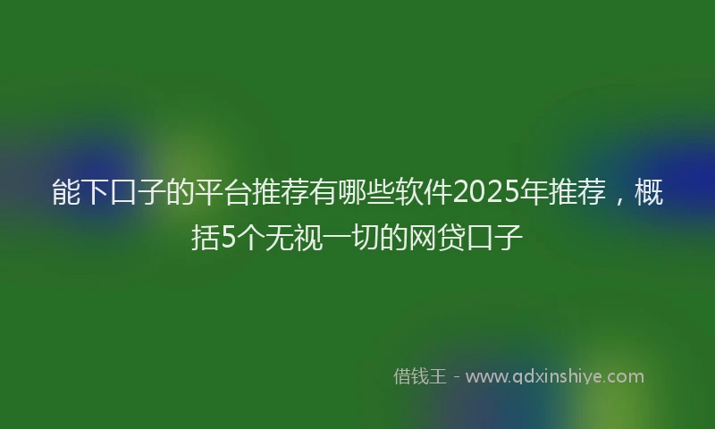 能下口子的平台推荐有哪些软件2025年推荐，概括5个无视一切的网贷口子