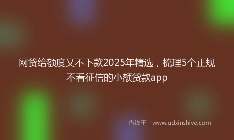 网贷给额度又不下款2025年精选，梳理5个正规不看征信的小额贷款app