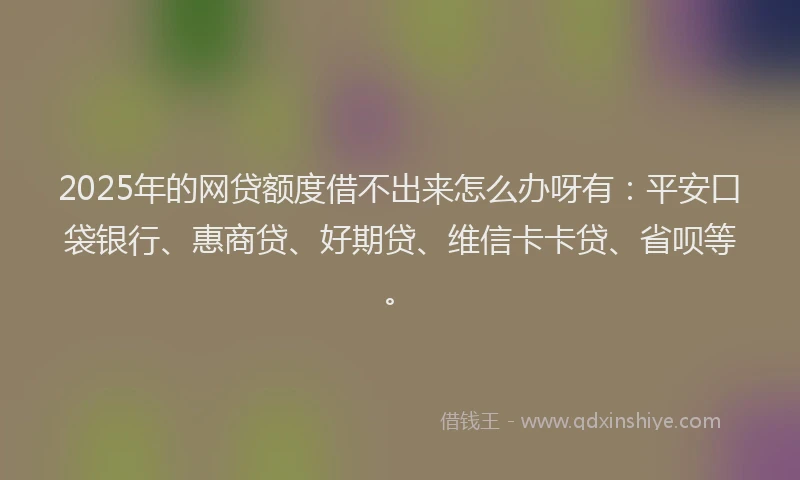 2025年的网贷额度借不出来怎么办呀有：平安口袋银行、惠商贷、好期贷、维信卡卡贷、省呗等。