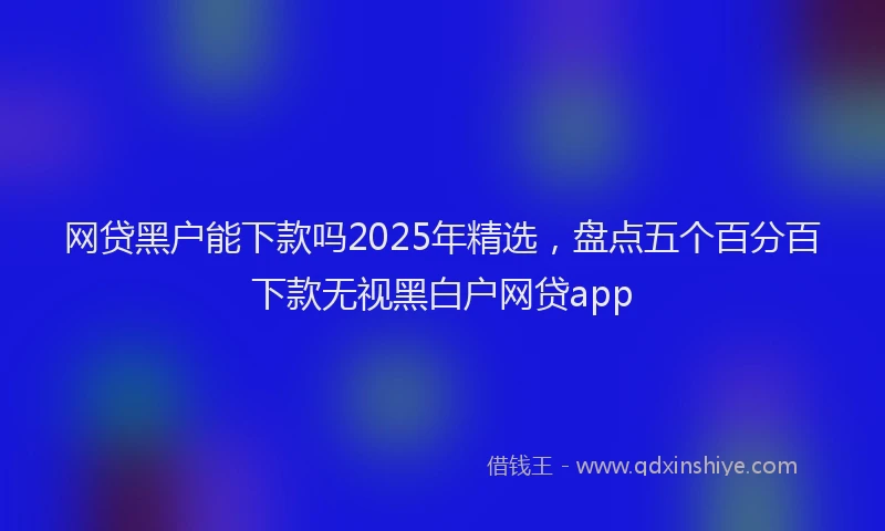 网贷黑户能下款吗2025年精选，盘点五个百分百下款无视黑白户网贷app