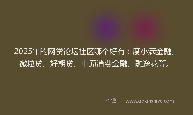 2025年的网贷论坛社区哪个好有：度小满金融、微粒贷、好期贷、中原消费金融、融逸花等。