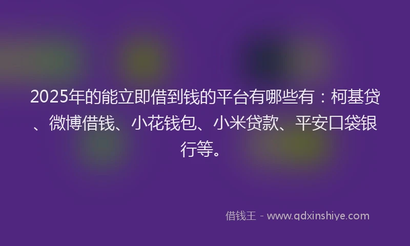 2025年的能立即借到钱的平台有哪些有：柯基贷、微博借钱、小花钱包、小米贷款、平安口袋银行等。