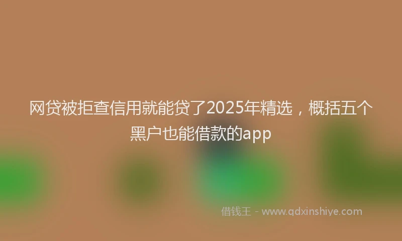 网贷被拒查信用就能贷了2025年精选，概括五个黑户也能借款的app