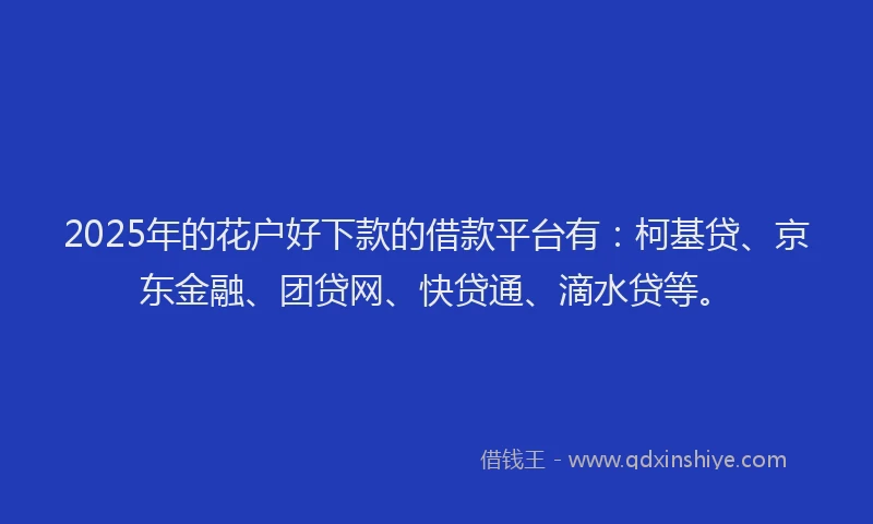 2025年的花户好下款的借款平台有：柯基贷、京东金融、团贷网、快贷通、滴水贷等。