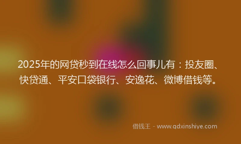 2025年的网贷秒到在线怎么回事儿有：投友圈、快贷通、平安口袋银行、安逸花、微博借钱等。