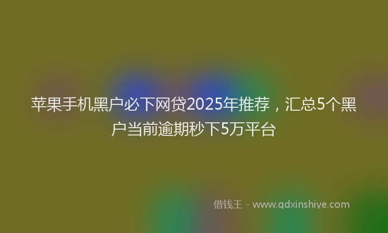 苹果手机黑户必下网贷2025年推荐，汇总5个黑户当前逾期秒下5万平台