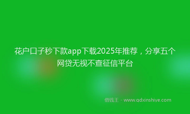 花户口子秒下款app下载2025年推荐，分享五个网贷无视不查征信平台