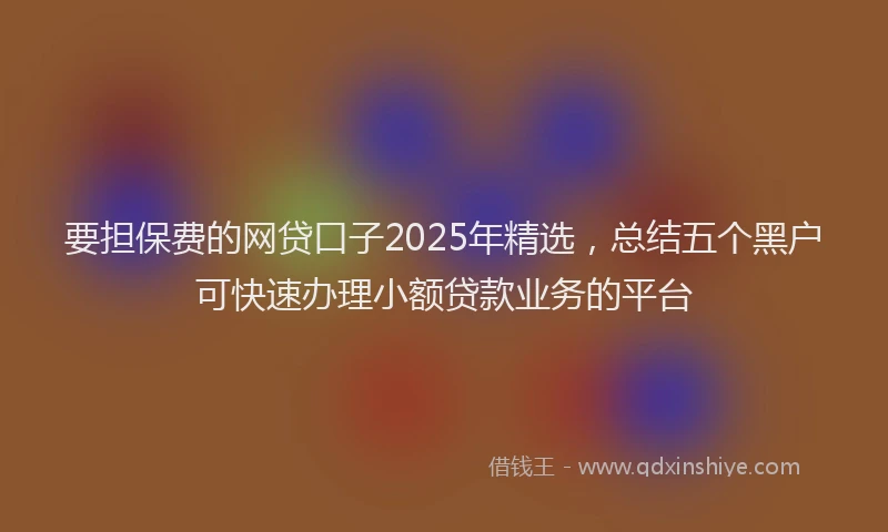 要担保费的网贷口子2025年精选，总结五个黑户可快速办理小额贷款业务的平台