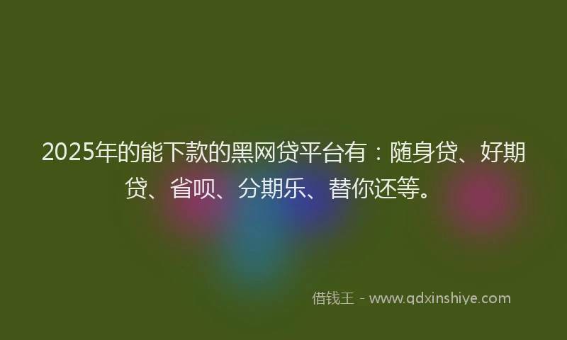 2025年的能下款的黑网贷平台有：随身贷、好期贷、省呗、分期乐、替你还等。