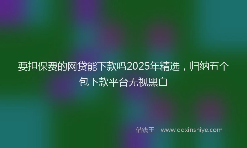 要担保费的网贷能下款吗2025年精选，归纳五个包下款平台无视黑白
