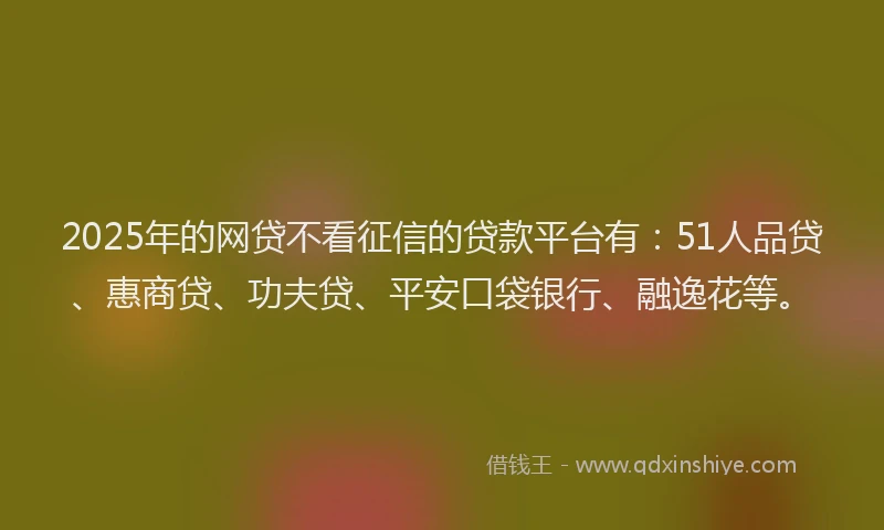 2025年的网贷不看征信的贷款平台有：51人品贷、惠商贷、功夫贷、平安口袋银行、融逸花等。