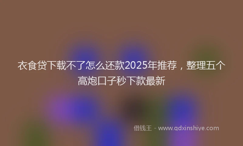 衣食贷下载不了怎么还款2025年推荐，整理五个高炮口子秒下款最新