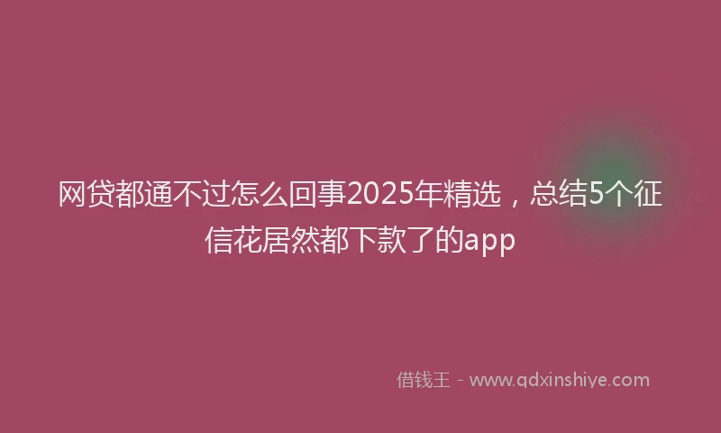 网贷都通不过怎么回事2025年精选，总结5个征信花居然都下款了的app