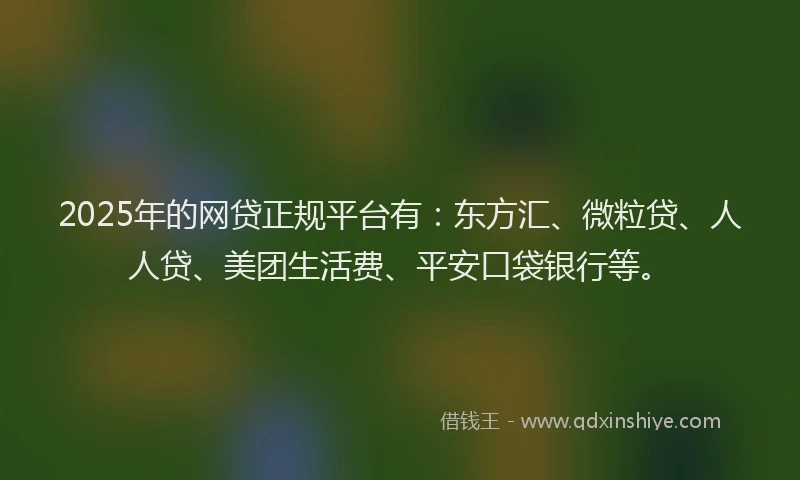 2025年的网贷正规平台有：东方汇、微粒贷、人人贷、美团生活费、平安口袋银行等。