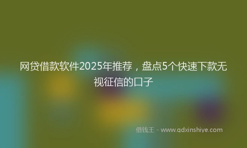 网贷借款软件2025年推荐，盘点5个快速下款无视征信的口子