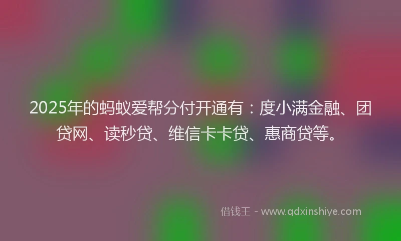 2025年的蚂蚁爱帮分付开通有：度小满金融、团贷网、读秒贷、维信卡卡贷、惠商贷等。