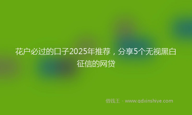 花户必过的口子2025年推荐，分享5个无视黑白征信的网贷