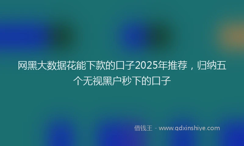 网黑大数据花能下款的口子2025年推荐，归纳五个无视黑户秒下的口子