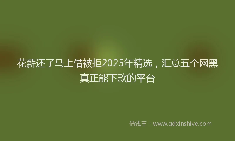 花薪还了马上借被拒2025年精选，汇总五个网黑真正能下款的平台
