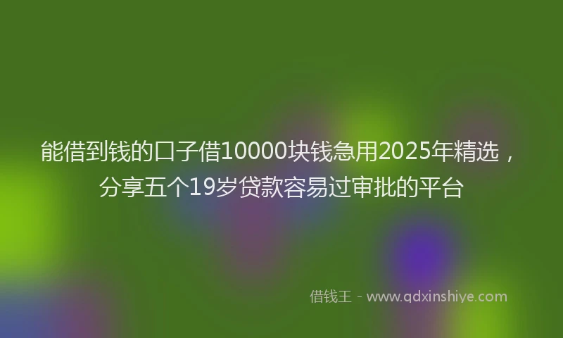 能借到钱的口子借10000块钱急用2025年精选，分享五个19岁贷款容易过审批的平台
