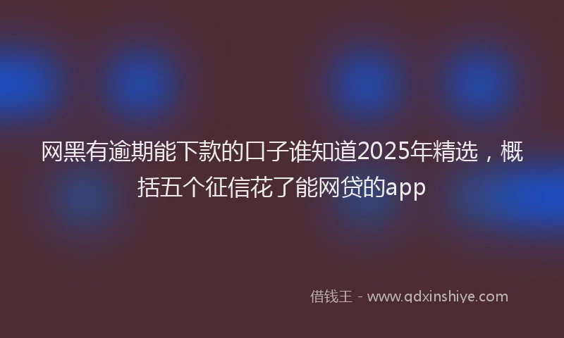 网黑有逾期能下款的口子谁知道2025年精选，概括五个征信花了能网贷的app