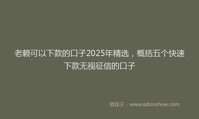 老赖可以下款的口子2025年精选，概括五个快速下款无视征信的口子