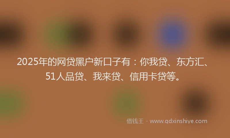 2025年的网贷黑户新口子有：你我贷、东方汇、51人品贷、我来贷、信用卡贷等。