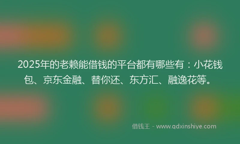 2025年的老赖能借钱的平台都有哪些有：小花钱包、京东金融、替你还、东方汇、融逸花等。