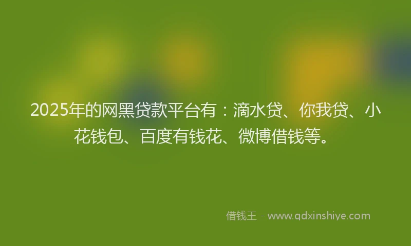2025年的网黑贷款平台有：滴水贷、你我贷、小花钱包、百度有钱花、微博借钱等。