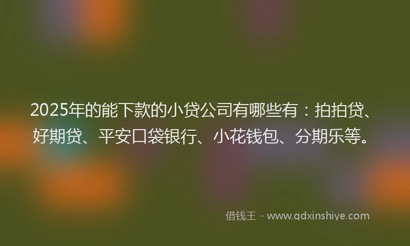 2025年的能下款的小贷公司有哪些有：拍拍贷、好期贷、平安口袋银行、小花钱包、分期乐等。