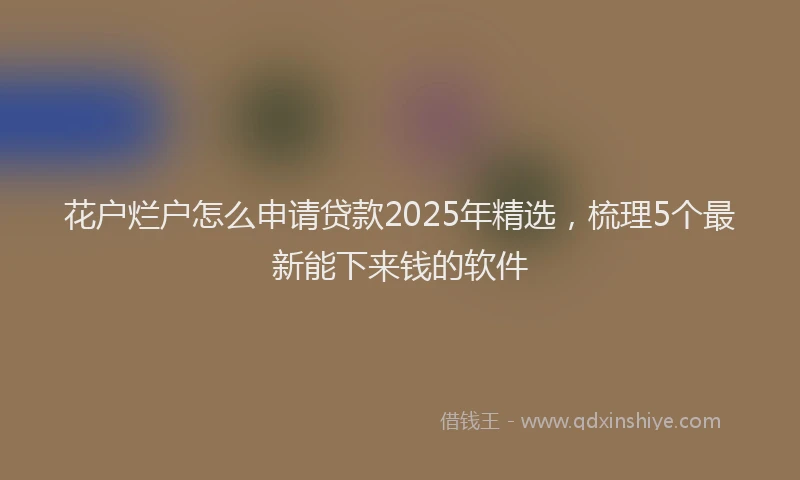花户烂户怎么申请贷款2025年精选，梳理5个最新能下来钱的软件