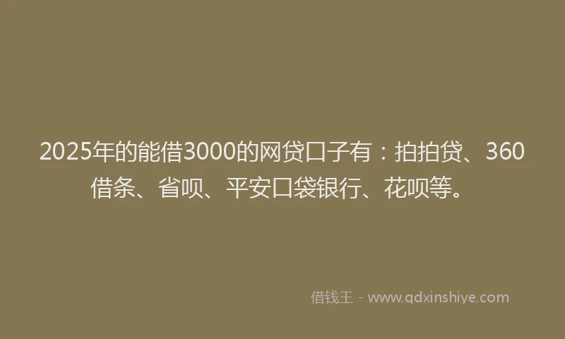 2025年的能借3000的网贷口子有：拍拍贷、360借条、省呗、平安口袋银行、花呗等。