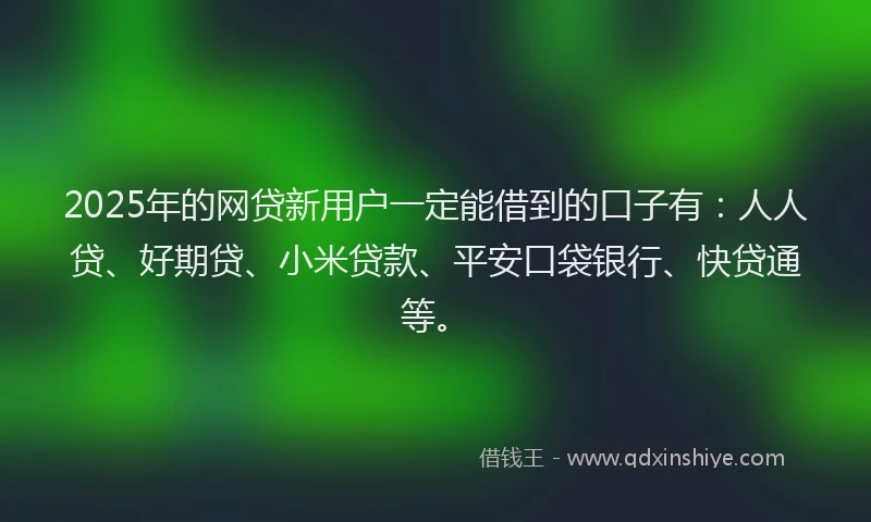 2025年的网贷新用户一定能借到的口子有：人人贷、好期贷、小米贷款、平安口袋银行、快贷通等。