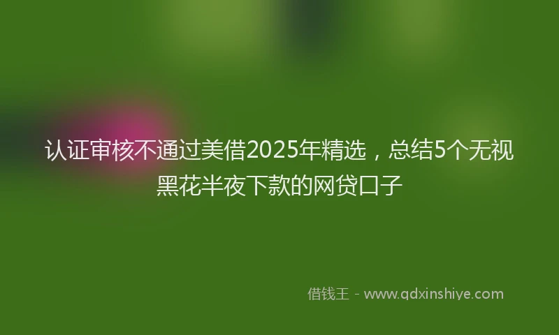 认证审核不通过美借2025年精选，总结5个无视黑花半夜下款的网贷口子