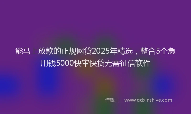 能马上放款的正规网贷2025年精选，整合5个急用钱5000快审快贷无需征信软件