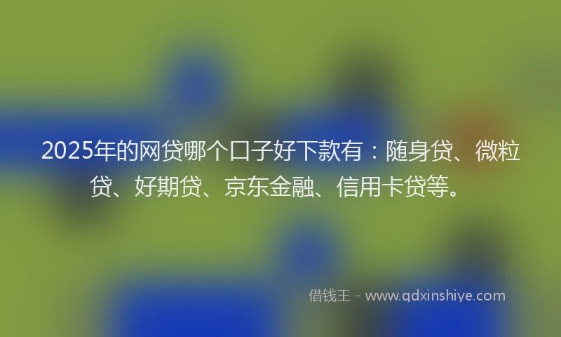 2025年的网贷哪个口子好下款有：随身贷、微粒贷、好期贷、京东金融、信用卡贷等。