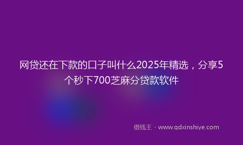 网贷还在下款的口子叫什么2025年精选，分享5个秒下700芝麻分贷款软件