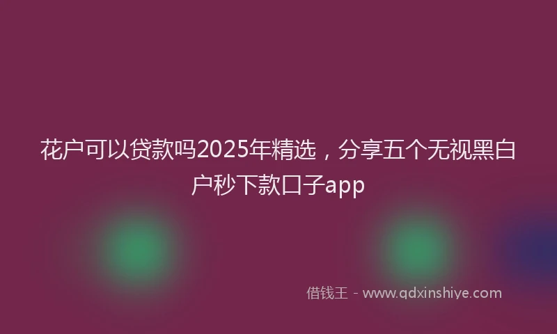 花户可以贷款吗2025年精选，分享五个无视黑白户秒下款口子app