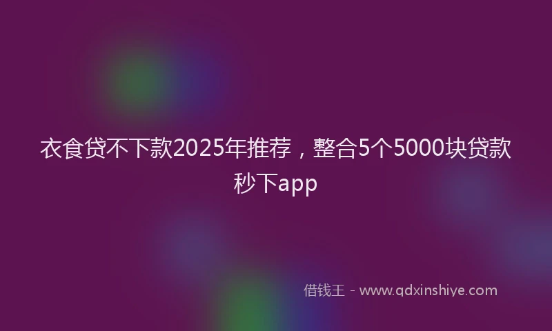衣食贷不下款2025年推荐，整合5个5000块贷款秒下app