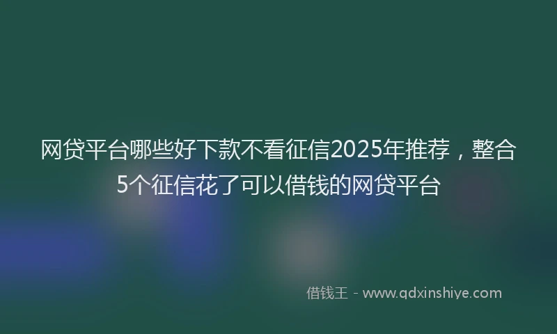 网贷平台哪些好下款不看征信2025年推荐，整合5个征信花了可以借钱的网贷平台