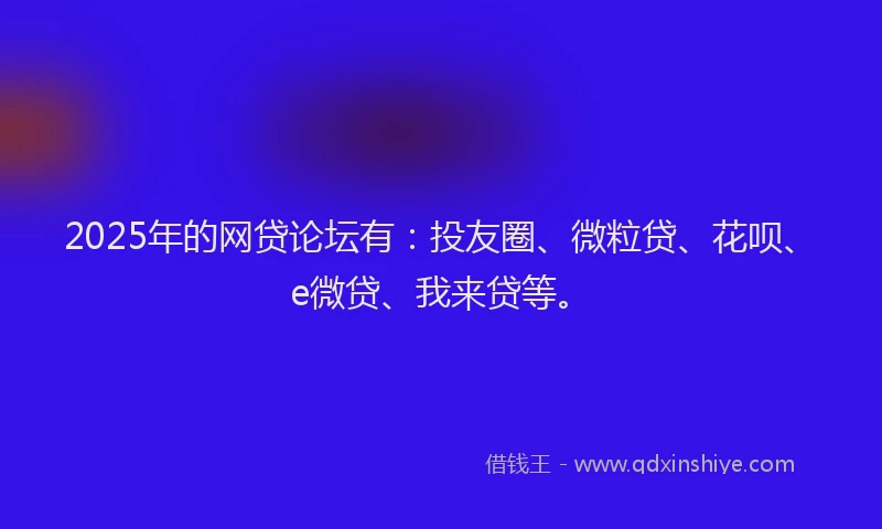 2025年的网贷论坛有：投友圈、微粒贷、花呗、e微贷、我来贷等。