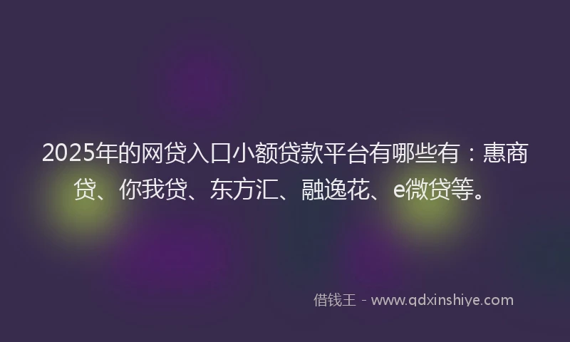 2025年的网贷入口小额贷款平台有哪些有：惠商贷、你我贷、东方汇、融逸花、e微贷等。