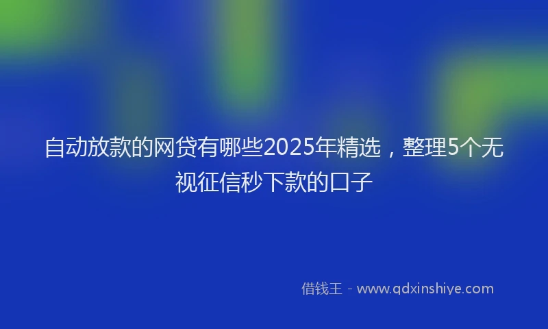 自动放款的网贷有哪些2025年精选，整理5个无视征信秒下款的口子