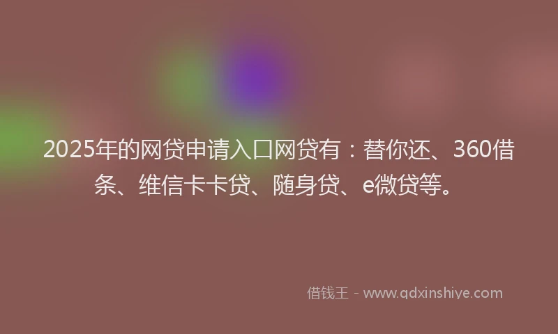 2025年的网贷申请入口网贷有：替你还、360借条、维信卡卡贷、随身贷、e微贷等。