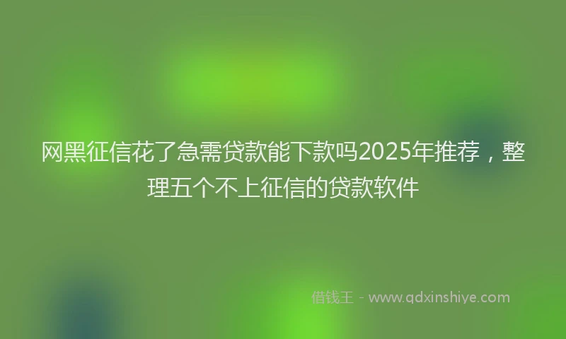 网黑征信花了急需贷款能下款吗2025年推荐，整理五个不上征信的贷款软件
