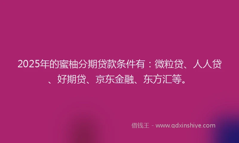 2025年的蜜柚分期贷款条件有：微粒贷、人人贷、好期贷、京东金融、东方汇等。
