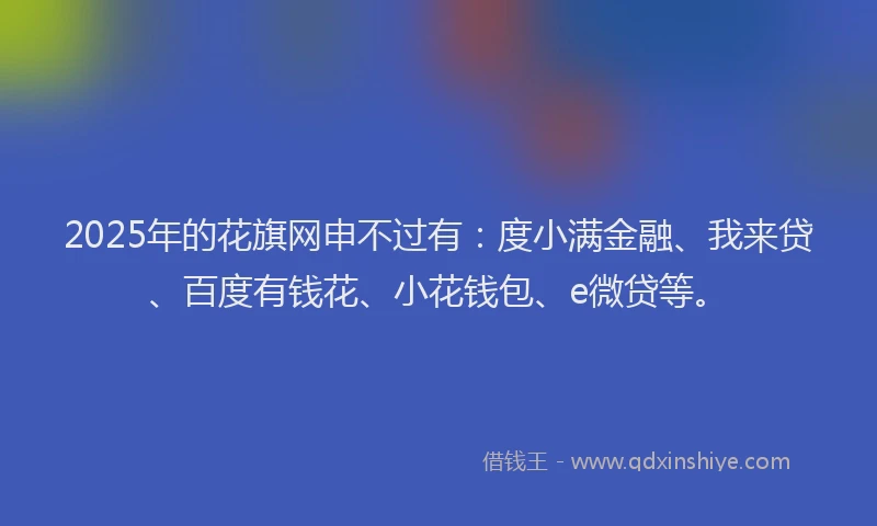 2025年的花旗网申不过有：度小满金融、我来贷、百度有钱花、小花钱包、e微贷等。